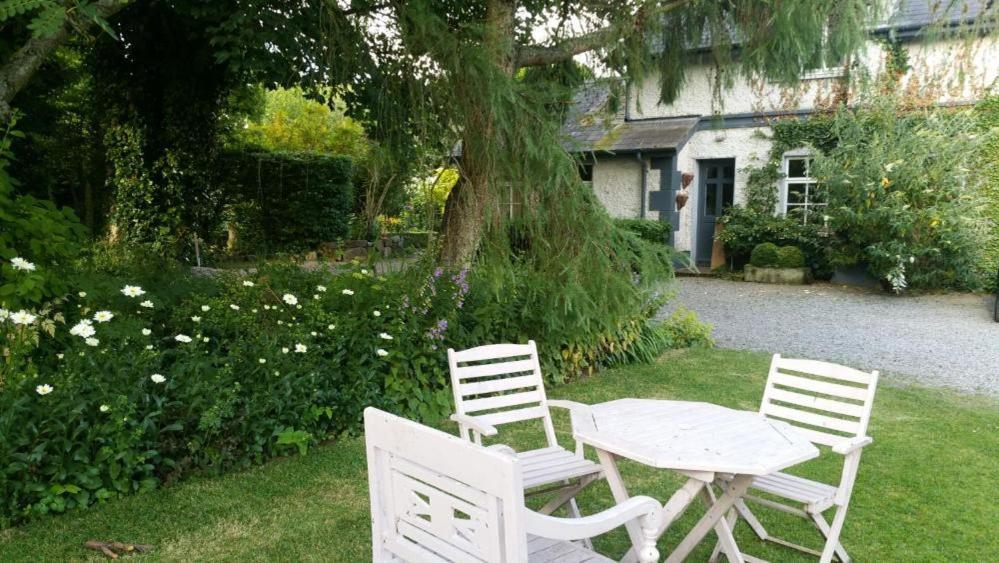 Hotel The Old Goathouse Kildare Esterno foto
