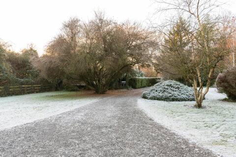 Hotel The Old Goathouse Kildare Esterno foto