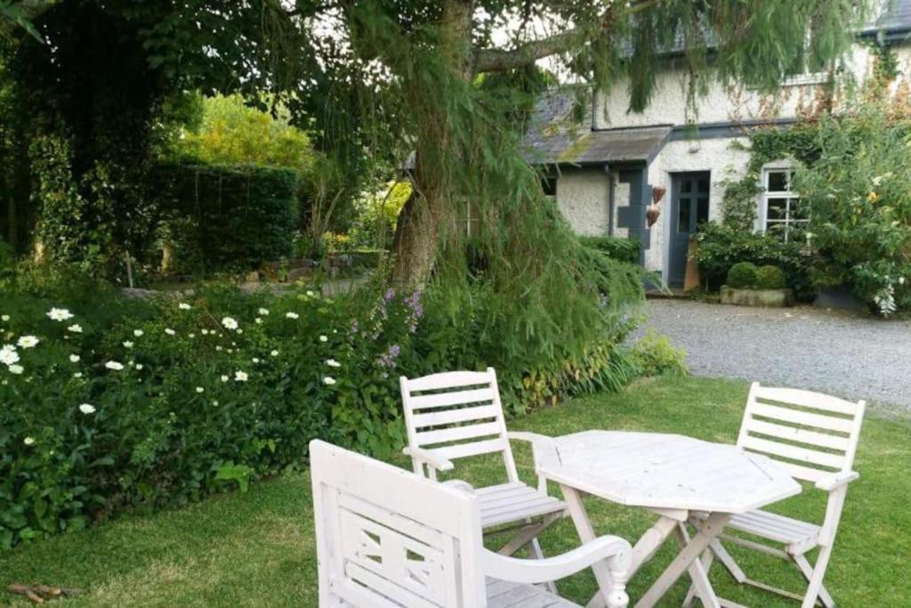 Hotel The Old Goathouse Kildare Esterno foto