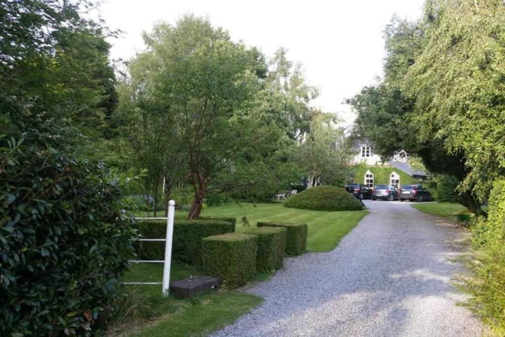 Hotel The Old Goathouse Kildare Esterno foto