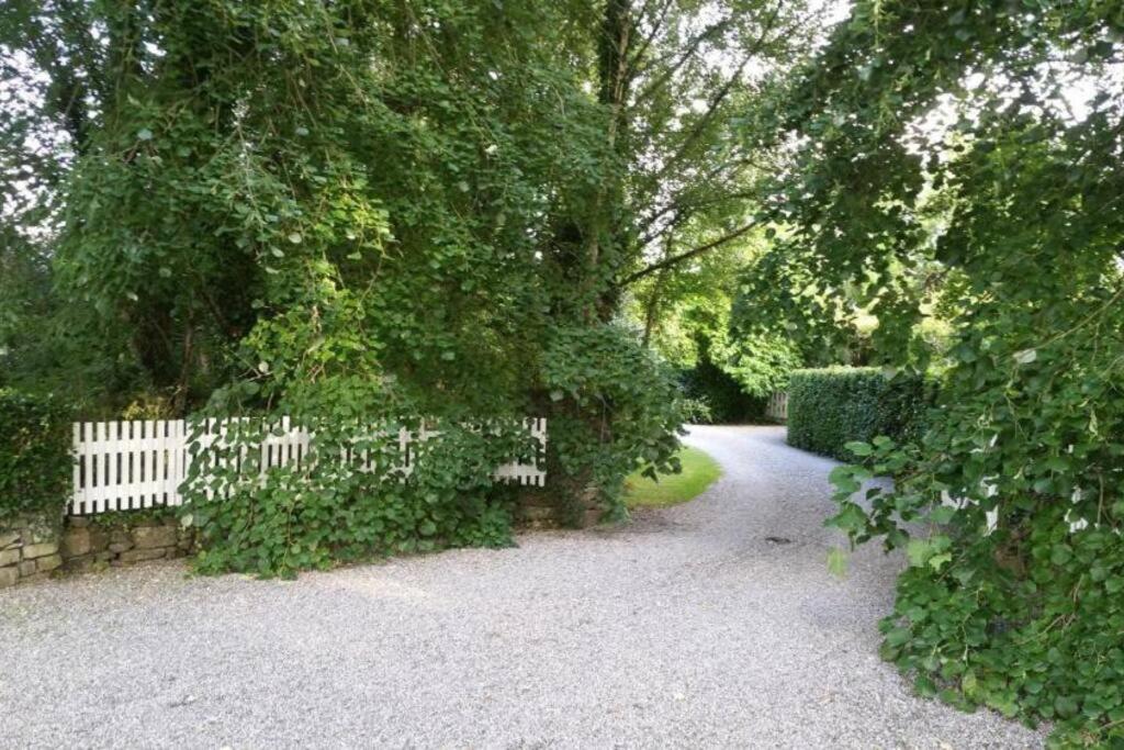 Hotel The Old Goathouse Kildare Esterno foto